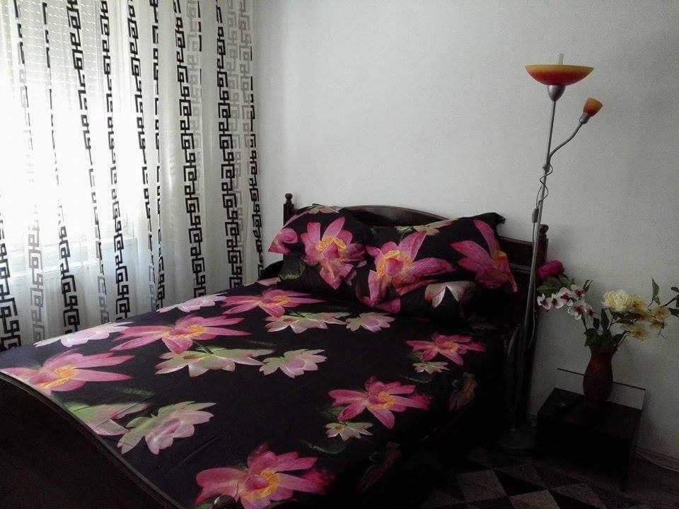 Apartament Ela Elegance Orsova Exterior photo